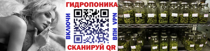 Бошки марихуана LSD WEED  Зубцов 
